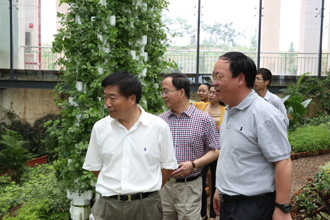 港澳免费资科大全