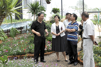 港澳免费资科大全