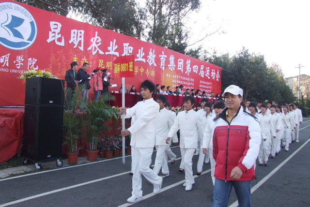 港澳免费资科大全
