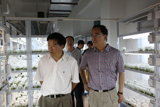 港澳免费资科大全